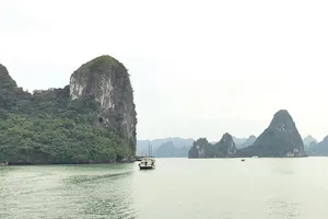 Tôi yêu đất nước tôi