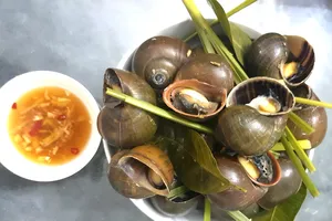 Ăn nhớ ăn thương