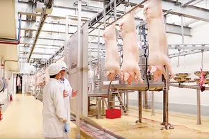 Tổ hợp chế biến MEAT Hà Nam