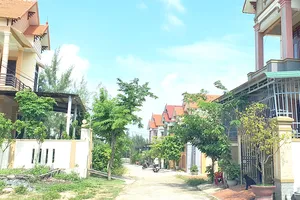 Đưa người đi châu Âu