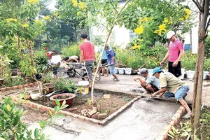 Năm 2020: Ban hành tiêu chí xây dựng TPHCM sạch và xanh