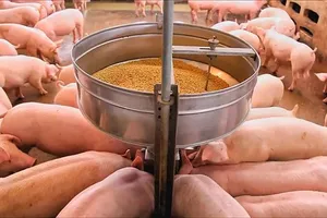 Đầu tư dự án Khu chăn nuôi ứng dụng công nghệ cao