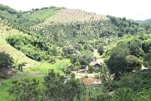 Rừng phòng hộ Gia Nghĩa tại Tiểu khu 1697 bị người dân lấn chiếm làm rẫy