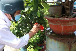 Cán bộ y tế phường Tân Quý, quận Tân Phú kiểm tra công tác phòng chống sốt xuất huyết  tại hộ dân trên địa bàn. Ảnh: THÀNH AN