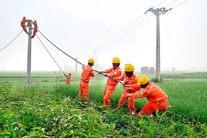 Kỳ tích ngành điện