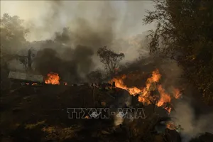  Cháy rừng tại California, Mỹ. Ảnh: AFP/TTXVN