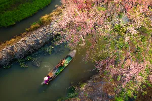 Việt Nam muôn màu