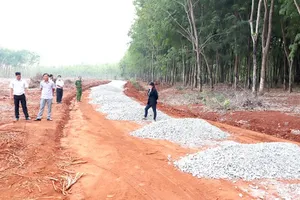 Phản hồi từ bài viết Sốt đất theo dự án ảo trên Báo SGGP: Đã xác định nhóm người tạo kịch bản, thổi giá