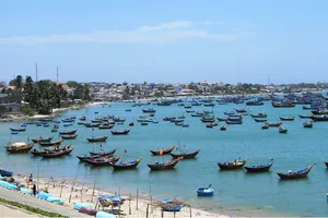 Nam Trung bộ nỗ lực gỡ “thẻ vàng” thủy sản