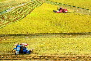 Nông nghiệp làm trụ đỡ nền kinh tế