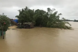 Lũ trên sông Trà Bồng, tỉnh Quảng Ngãi tràn qua xóm Đồng Min. Ảnh: NGUYỄN TRANG