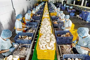 Chế biến dừa ở Bến Tre. Ảnh: Báo ĐCS