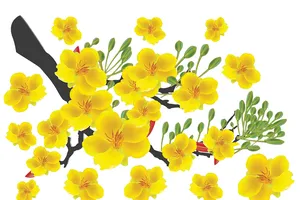 Nhìn về phía sáng