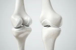 Hỗn hợp bôi trơn giống như sụn giữa khớp nối