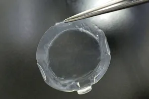 Cấy ghép thành công tế bào giác mạc tạo ra từ iPS