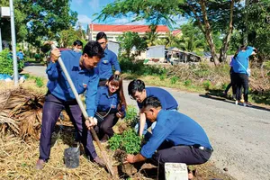 Mô hình “Mỗi đoàn viên 1 cây xanh” được triển khai sôi nổi tại Sóc Trăng