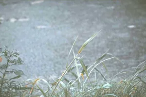 Ảnh: KHANH TRỊNH