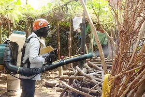 Xử lý các ổ dịch sốt xuất huyết trong cộng đồng