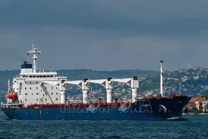 Tàu Razoni mang cờ Sierra Leon chở 26.000 tấn ngũ cốc của Ukraine di chuyển dọc Eo biển Bosphorus qua Istanbul, Thổ Nhĩ Kỳ ngày 3-8-2022. Ảnh: AFP/TTXVN