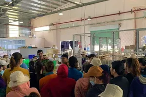 Công ty hơn 500 công nhân tuyên bố giải thể