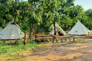 Làm du lịch ven hồ Trị An cần sắp xếp lại 