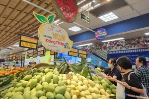 Xoài cát Hòa Lộc của Đồng Tháp tại Co.opmart thu hút các bà nội trợ