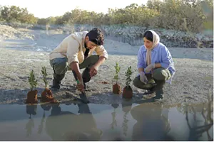 Saudi Arabia đang thực hiện dự án rất lớn, táo bạo trồng 10 tỷ cây xanh