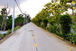 Podcast: Những dòng kênh nở hoa