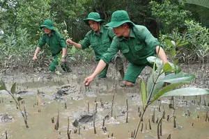 Phát triển thị trường tài chính xanh và tín chỉ carbon: Chậm triển khai, cơ hội sẽ “trôi” mất