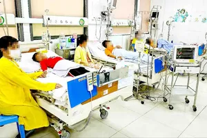 Nhiều dịch bệnh có nguy cơ bùng phát trong mùa lễ hội đầu xuân 