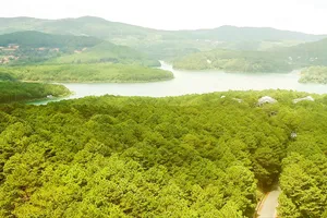 Tín chỉ carbon - Giải pháp khôi phục rừng Tây Nguyên - Bài 1: “Mỏ vàng” chưa được đánh thức