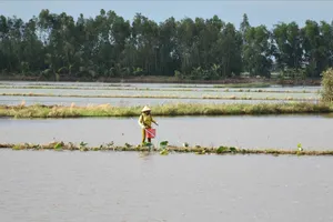 Người dân sử dụng bình xung điện để khai thác thủy sản
