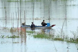 Sản vật mùa nước nổi miền Tây