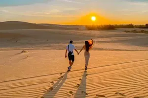 Những điểm đến được du khách Việt tìm kiếm trong năm 2025