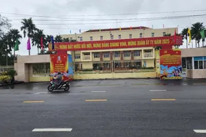 Quảng Nam có 8 bí thư huyện ủy xin nghỉ hưu trước tuổi