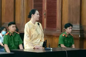 Lừa đảo ngân hàng, chủ tịch công ty địa ốc lãnh 8 năm tù 