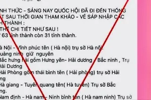 Tin “Chính thức - sáng nay Quốc hội thống nhất sáp nhập 63 tỉnh thành 31 tỉnh” là xuyên tạc, sai sự thật. 