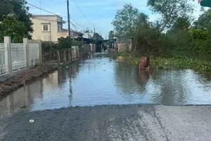 Triều cường dâng cao, nước tràn vào các tuyến đường giao thông nông thôn tại thị trấn Chợ Lách, huyện Chợ Lách, tỉnh Bến Tre