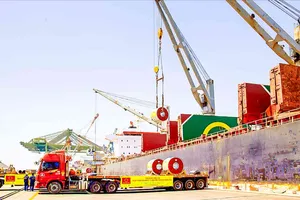 Doanh nghiệp Việt: Chạy nước rút phân luồng và đa dạng hóa thị trường xuất khẩu