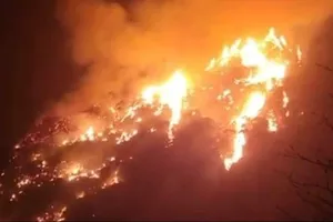 Dập tắt đám cháy rừng ở Ba Sao (Hà Nam)