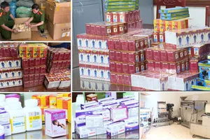 Phó Thủ tướng chỉ đạo xử lý vấn đề thuốc chữa bệnh giả