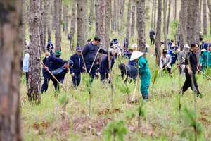 Nhiều địa phương trồng cây nhân kỷ niệm 135 năm Ngày sinh Chủ tịch Hồ Chí Minh