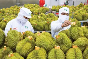 Không để tình trạng ùn tắc hàng hóa, nông sản tại cửa khẩu