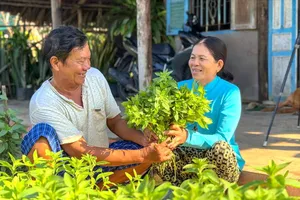 Niềm hạnh phúc giản đơn. Ảnh: ĐỖ TÌNH