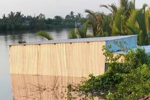 Cà Mau: Sạt lở nhấn chìm nhiều nhà dân