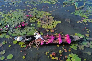 Phố cổ Hội An đã được UNESCO công nhận là di sản văn hóa thế giới vào năm 1999. Ảnh minh họa