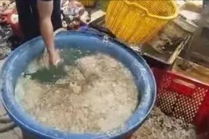 Phát hiện 3 cơ sở dùng hàn the để tẩy trắng hoa chuối