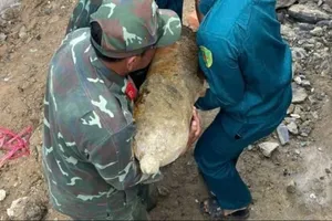 Hủy nổ thành công quả bom gần 130kg thời chiến tranh còn sót lại