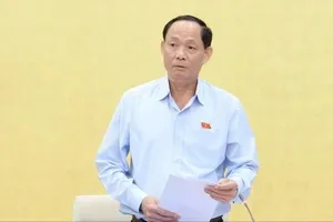 Phó Chủ tịch Quốc hội Trần Quang Phương phát biểu tại phiên họp. Ảnh: VIẾT CHUNG 