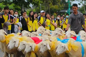 Phát triển chăn nuôi thích ứng biến đổi khí hậu, gắn với du lịch sinh thái